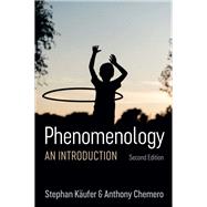 Book cover for Phenomenology An Introduction