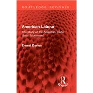 Book cover for American Labour