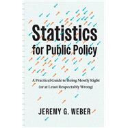 Book cover for Statistics for Public Policy