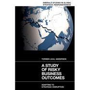 Book cover for A Study of Risky Business Outcomes