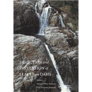 Book cover for Detection and the Prevention of Leaks from Dams