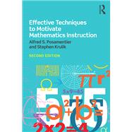 Book cover for Effective Techniques to Motivate Mathematics Instruction