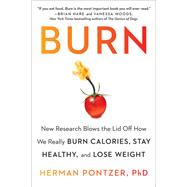 Book cover for Burn