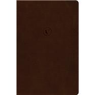 Book cover for RVR 1960 Biblia de estudio de César Vidal, café símil piel