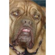 Book cover for French Mastiff Journal