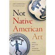 Book cover for Not Native American Art
