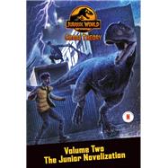 Book cover for Chaos Theory, Volume Two: The Junior Novelization