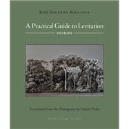 Book cover for A Practical Guide to Levitation Stories
