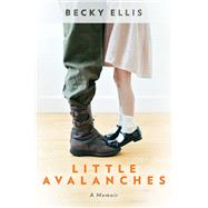 Book cover for Little Avalanches