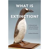 Book cover for What Is Extinction?