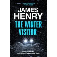 Book cover for The Winter Visitor