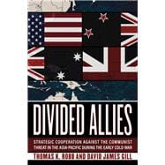 Book cover for Divided Allies