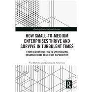 Book cover for Organizational Resilience in Small-to-Medium Enterprises: Surviving and Thriving in Turbulent Times