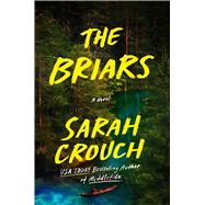Book cover for The Briars A Novel