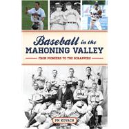 Book cover for Baseball in the Mahoning Valley