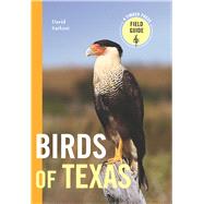 Book cover for Birds of Texas A Timber Press Field Guide