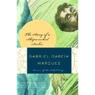 Book cover for The Story of a Shipwrecked Sailor