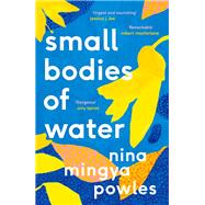 Book cover for Small Bodies of Water