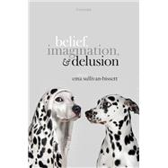Book cover for Belief, Imagination, and Delusion