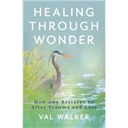 Book cover for Healing Through Wonder