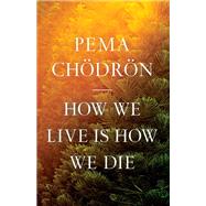 Book cover for How We Live Is How We Die