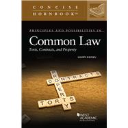 Book cover for Principles and Possibilities in Common Law(Concise Hornbook Series)