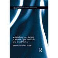 Book cover for Vulnerability and Security in Human Rights Literature and Visual Culture