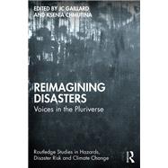 Book cover for Reimagining Disasters