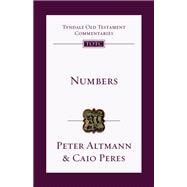 Book cover for Numbers