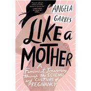 Book cover for Like a Mother