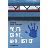 Book cover for Youth, Crime, and Justice Learning through Cases