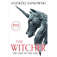 Book cover for The Lady of the Lake