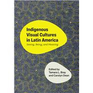 Book cover for Indigenous Visual Cultures in Latin America