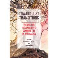 Book cover for Toward Just Transitions