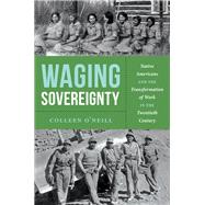 Book cover for Waging Sovereignty