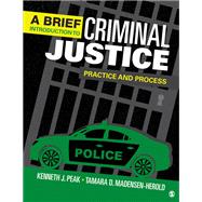 Book cover for A Brief Introduction to Criminal Justice