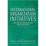 Book cover for International Organization Initiatives How and Why Organizations Adapt and Change