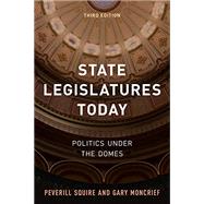 Book cover for State Legislatures Today Politics under the Domes
