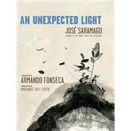 Book cover for An Unexpected Light