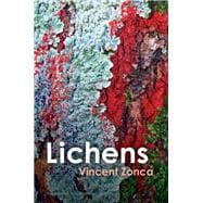 Book cover for Lichens Toward a Minimal Resistance