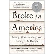 Book cover for Broke in America Seeing, Understanding, and Ending US Poverty