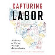 Book cover for Capturing Labor