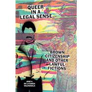 Book cover for Queer in a Legal Sense