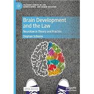 Book cover for Brain Development and the Law: Neurolaw in Theory and Practice
