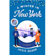 Book cover for A Winter in New York A Novel
