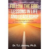 Book cover for Follow the Fire Lessons in Life and Leadership