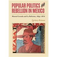 Book cover for Popular Politics and Rebellion in Mexico