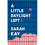Book cover for A Little Daylight Left Poems