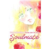 Book cover for Kimi ni Todoke: From Me to You: Soulmate, Vol. 1