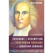 Book cover for Covenant of Redemption in the Trinitarian Theology of Jonathan Edwards